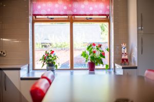 Photo 21- click for photo gallery